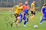 Fußball, Herren, Kreisliga West, Saison 2021-2022, Spieltag 8, DJK Pollenfeld - TV Büchenbach, 19.09.2021