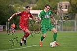 Fußball, Herren, Bayernliga Nord, Saison 2024-2025, Spieltag 9, VfB Eichstätt - TSV Kornburg, 30.08.2024
