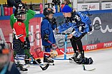 Eishockey, Herren, DEL, Saison 2023-2024, ERC Ingolstadt - Kids on Ice Day, 30.09.2023