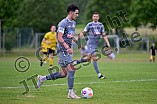 Fußball, Herren, Bayernliga Nord, Saison 2024-2025, Vorbereitung, VfB Eichstätt - TSV Gersthofen, 22.06.2024