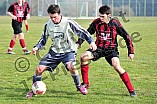 24.03.2013 - DJK Pollenfeld - DJK Stopfenheim