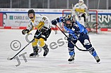 Eishockey, Frauen, DFEL, Saison 2023-2024, ERC Ingolstadt - Mad Dogs Mannheim, 18.02.2024