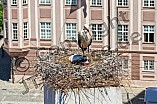 Storch mit seinem Jungen auf dem Kamin des Bischöflichen Ordinariat, 09.05.2026