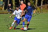14.10.2017 - SG SV Marienstein - JFG Rothsee Süd