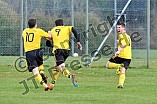 28.03.2015 - DJK Pollenfeld - TSG Ellingen