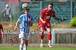 Fußball, Herren, Kreisliga 1, Saison 2024-2025, Spieltag 1, SV Eitensheim - FC Sandersdorf, 11.08.2024